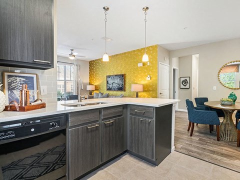 a kitchen with a sink and a dishwasher