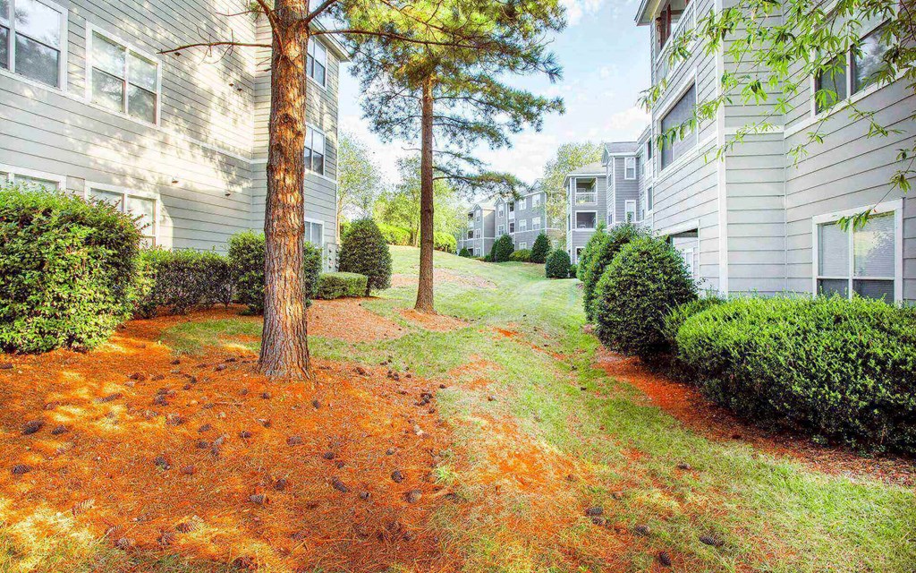 Grassy shaded park like area good for walking dogs at Seasons at Umstead apartments in Raleigh