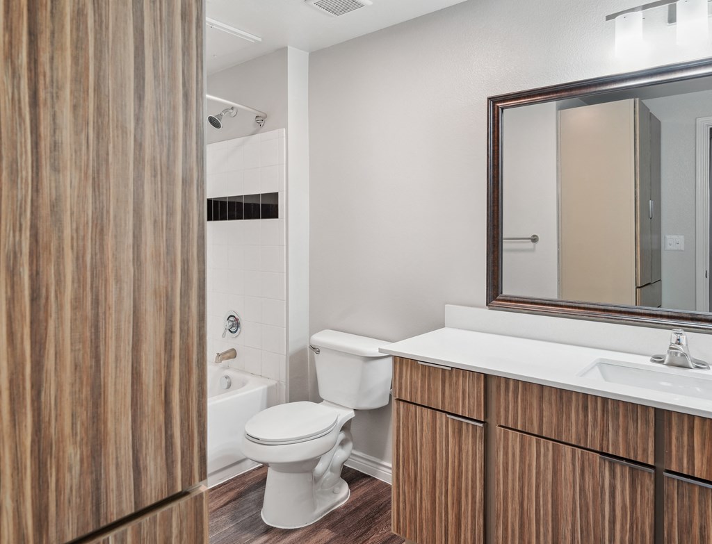 a bathroom with a toilet and a sink and a mirror