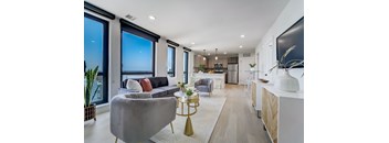 Living room/Kitchen