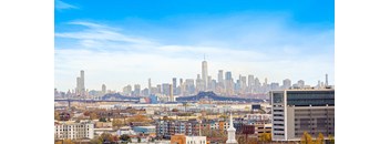 New York City View