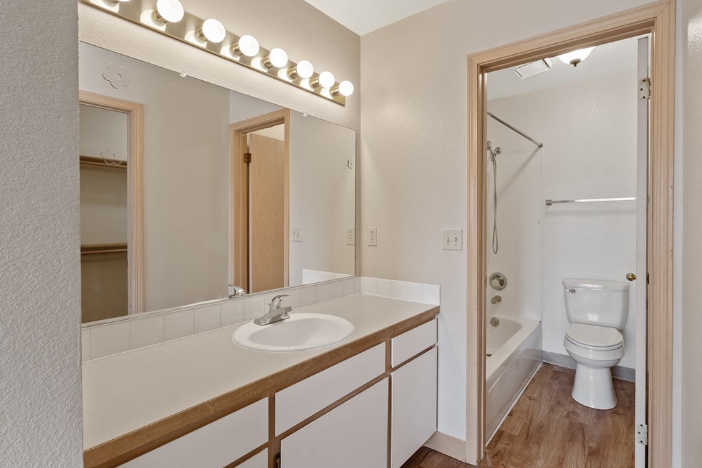 a bathroom with a mirror and a sink and a toilet