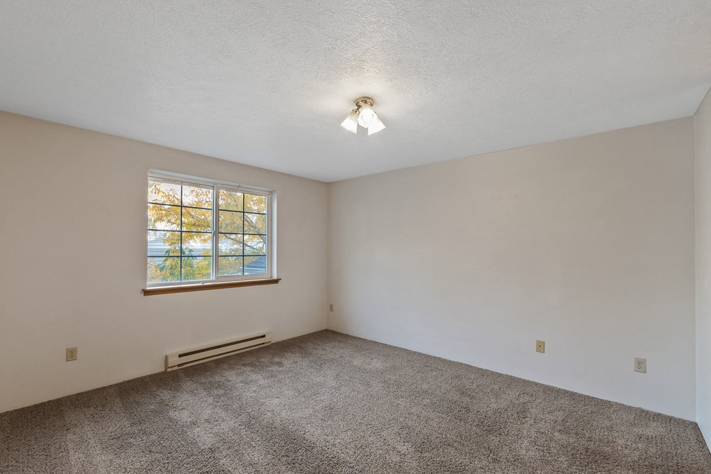 an empty living room with carpet and a window