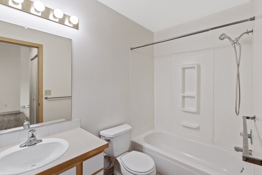 a bathroom with a shower toilet and sink and a mirror