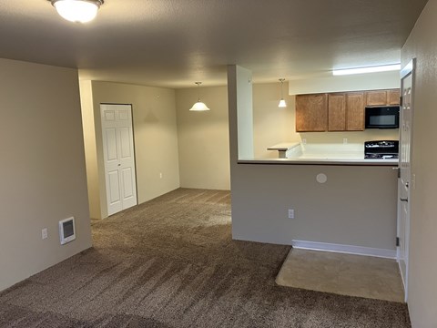 an empty living room and kitchen in an empty apartment