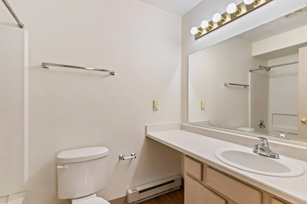 a bathroom with a toilet and a sink and a mirror