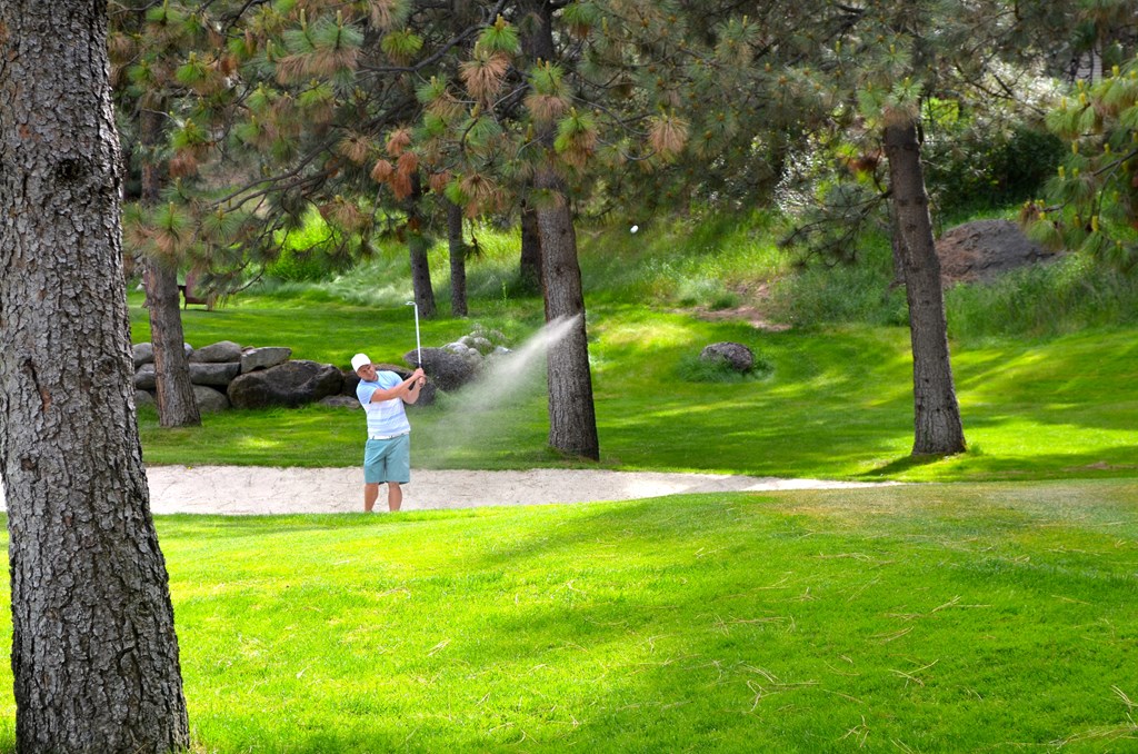 A man is playing golf in a green field.