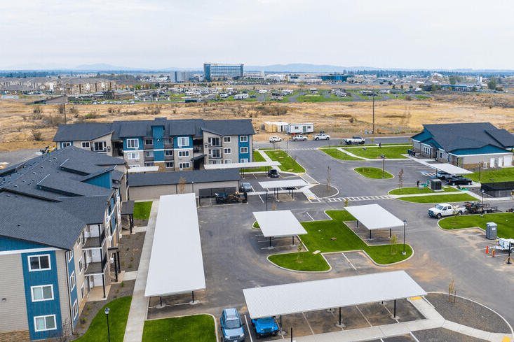 an image of a field of inflorescences in a stadium