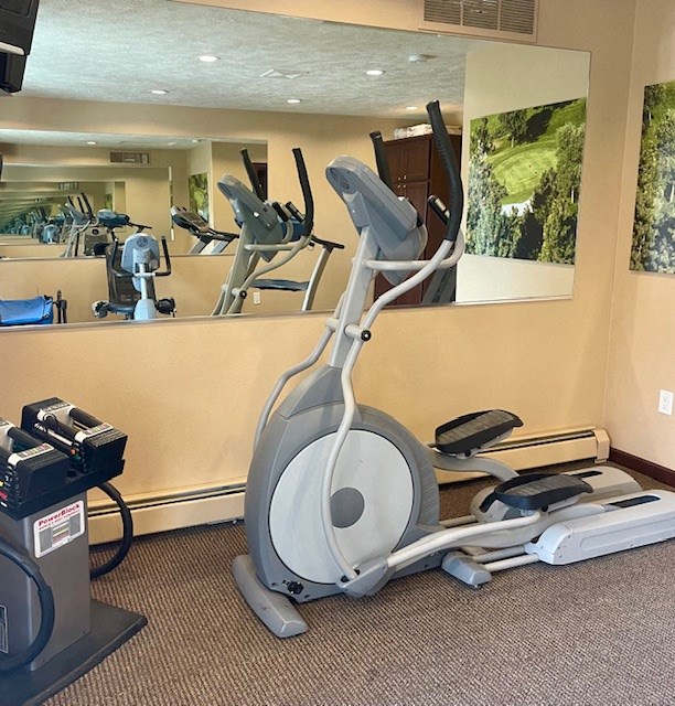 A gym with a treadmill, elliptical trainer and a mirror.