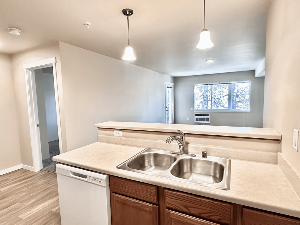 A kitchen with a white dishwasher and a double sink.