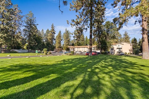 A sunny day in a park with trees and a building in the background.