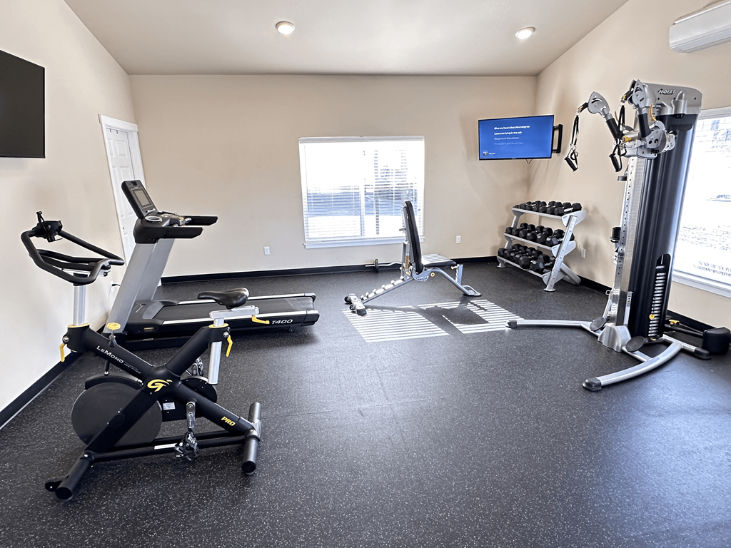 A home gym with a treadmill, rowing machine, and exercise bike.