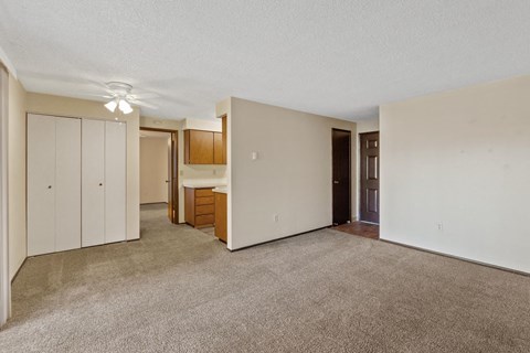 A room with a carpeted floor and a brown door.