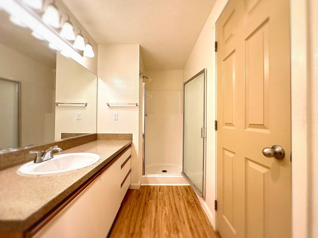 a bathroom with a sink and a mirror and a shower