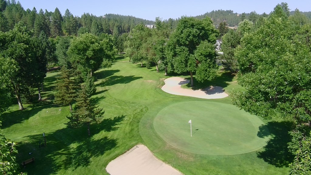 A golf course with a green and a white flag on it.