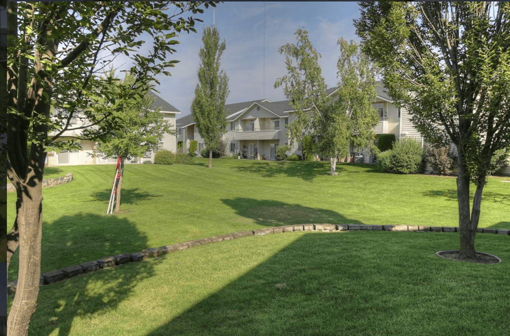 a house on a hill with grass and trees
