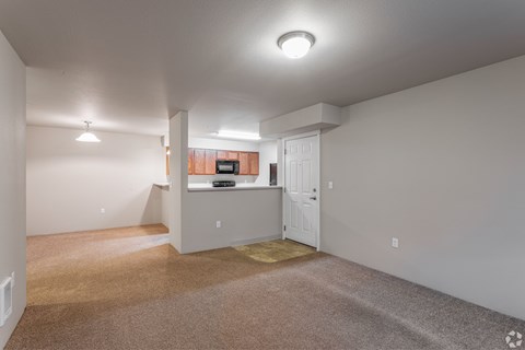 A spacious room with a carpeted floor and a white door.