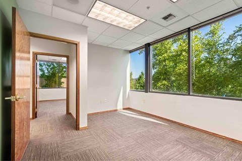 A room with a carpeted floor, a door, and a window overlooking trees.