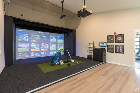 A room with a screen and golf equipment.
