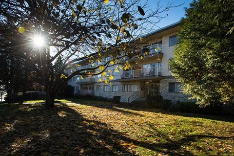 a large building with a tree in front of it