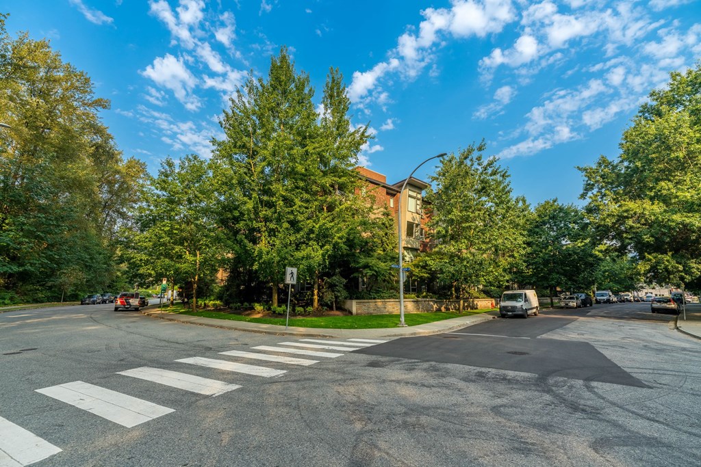 A street view with a crosswalk and trees.