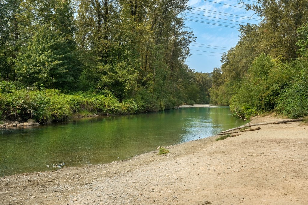 A river flows through a forested area with a sandy bank on the right.