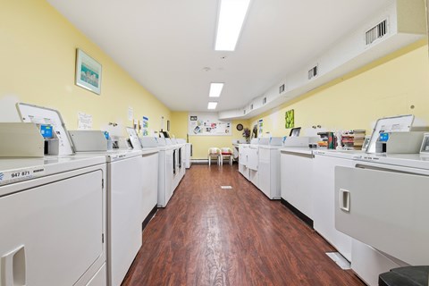 A laundromat with rows of washers and dryers.