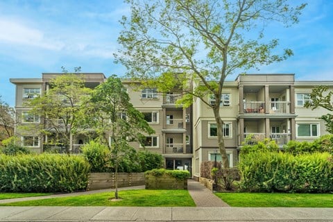 Apartment building with a tree in front of it.