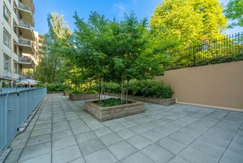 A patio with a concrete floor and a tree in a planter box.