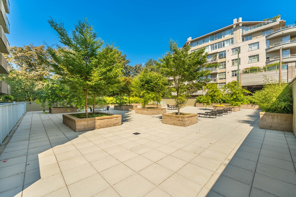 A courtyard with a bench and a tree in the middle.