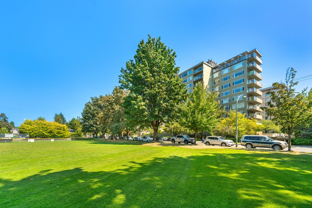 A large grassy field with trees and cars parked in the background.