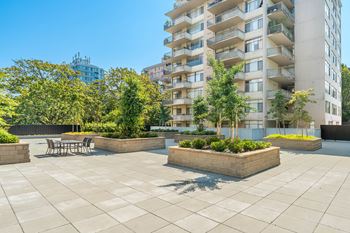 A sunny day at a courtyard with a table and chairs surrounded by trees and plants.