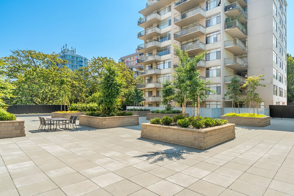 A sunny day at a courtyard with a table and chairs surrounded by trees and plants.