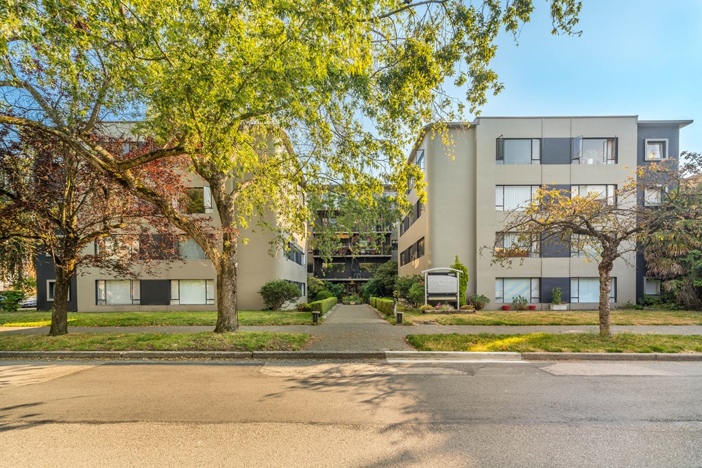A tree with yellow leaves is in front of a building.