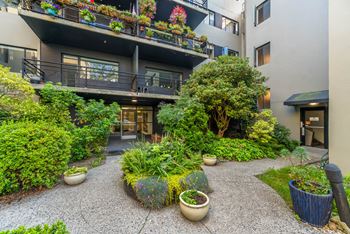 A courtyard with a gravel path and a variety of potted plants.