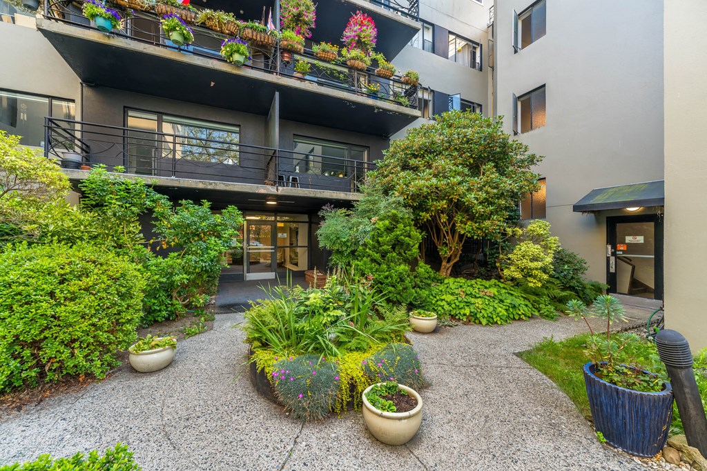 A courtyard with a gravel path and a variety of potted plants.