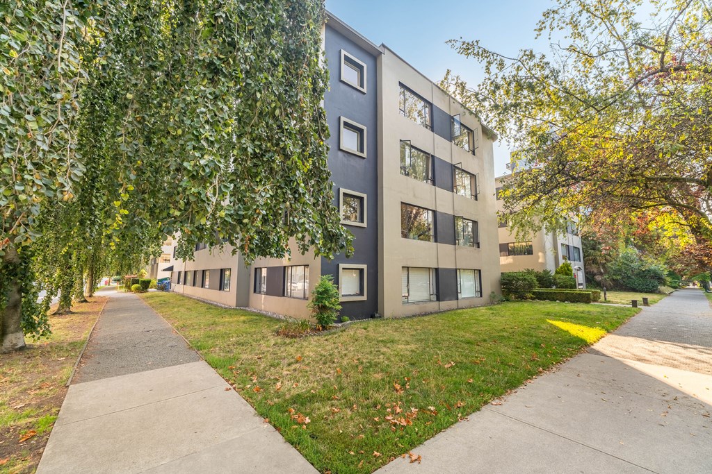 A tree with green leaves is in front of a grey building.