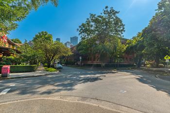 A tree-lined street with a car parked on the side.