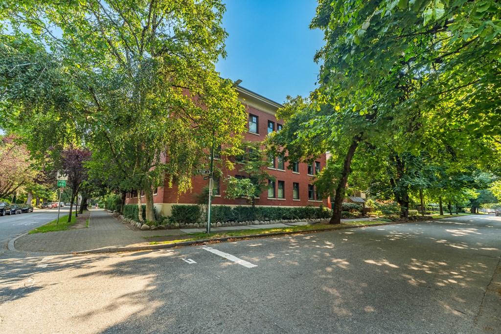 A tree-lined street with a red brick building on the corner.