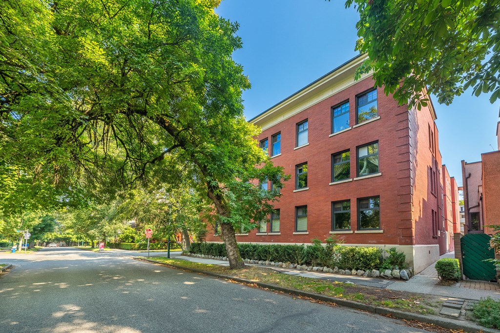 A tree with green leaves is in front of a red brick building.