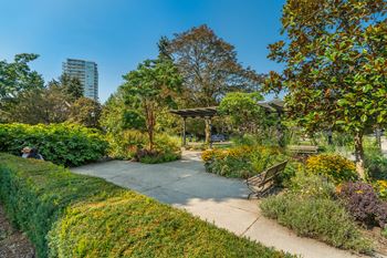 A park with a bench and a tree.