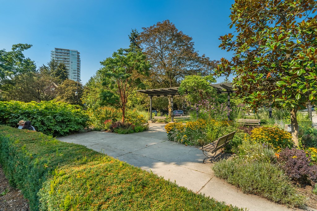 A park with a bench and a tree.