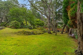 A lush green lawn surrounded by trees and a bench.