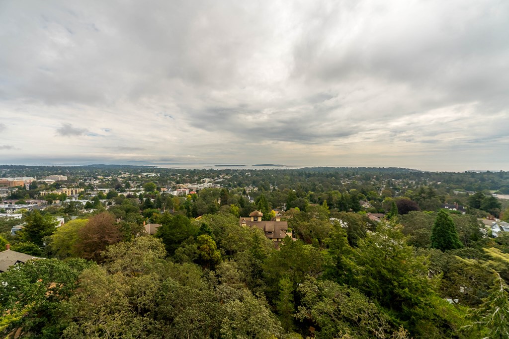 A view of a city from a high vantage point with trees in the foreground.