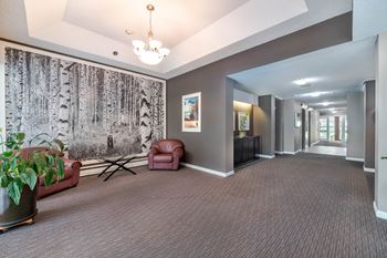 A room with a grey carpet and a wall with a tree pattern.