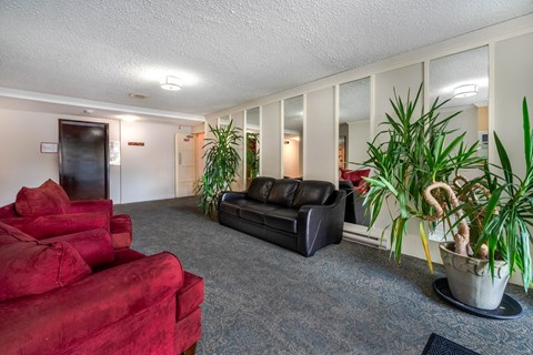 A living room with a red couch and a black couch.