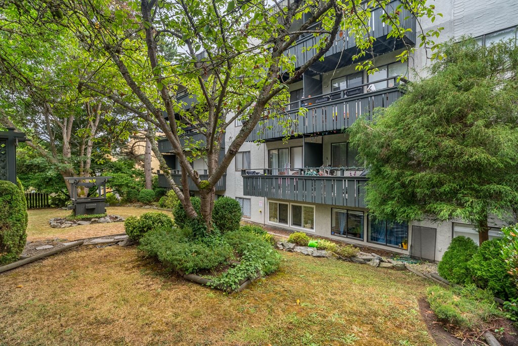A tree in a yard in front of a building.