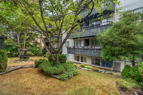 A tree in a yard in front of a building.