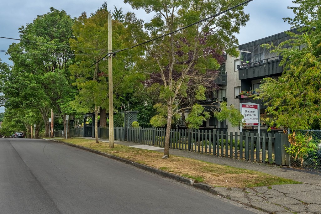 A tree-lined street with a fence and a sign in the background.