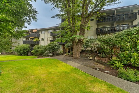 A green lawn in front of a building.